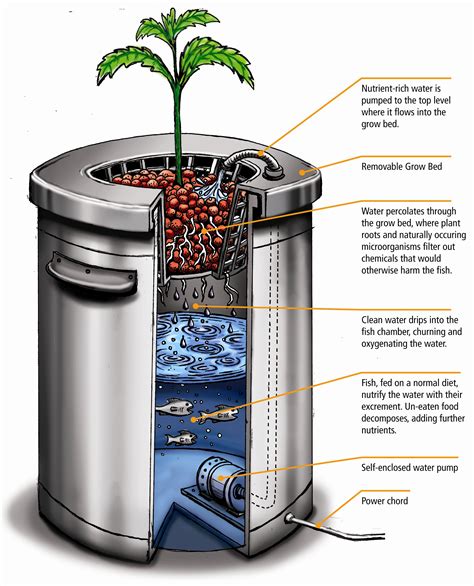 4 Tips to Manage a Great DIY Aquaponics Farm