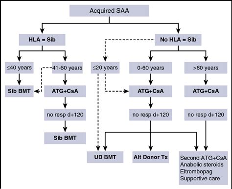 Figure 3 from How I treat acquired aplastic anemia. | Semantic Scholar