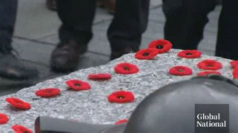 Remembrance Day: Horses of honour also worth remembering | Globalnews.ca