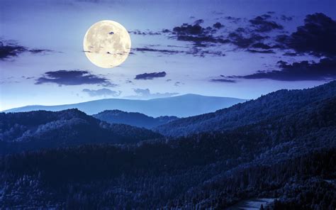 1280x800 Forest Night Moon Clouds 4k 720P ,HD 4k Wallpapers,Images ...