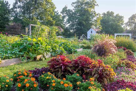 Tips for Growing an Organic Vegetable Garden | Better Homes & Gardens