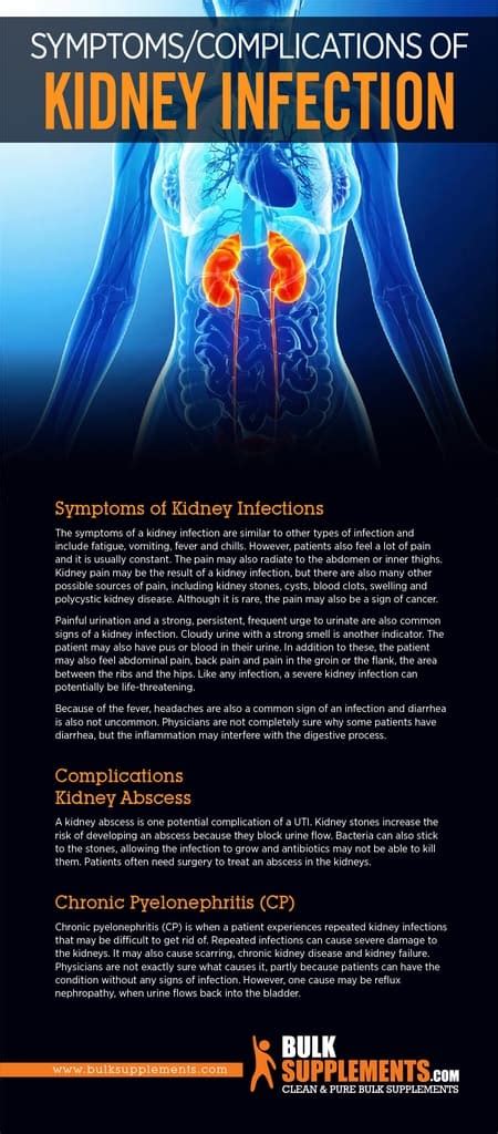 Kidney Infection (Pyelonephritis): Causes, Symptoms & Treatment