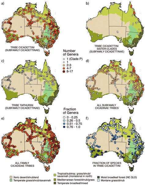 Geographic distribution of Australian cicada diversity sampled in this ...