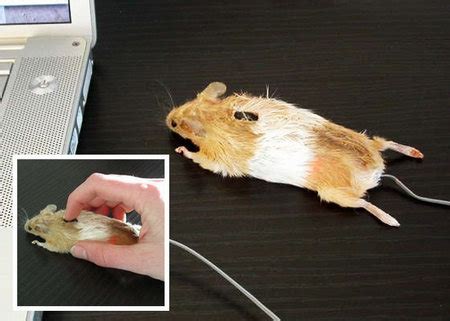 Interesting Computer Mouse Design – Gadget Sharp