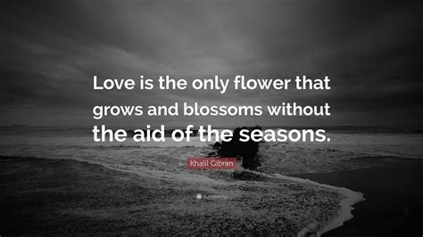 Khalil Gibran Quote: “Love is the only flower that grows and blossoms ...