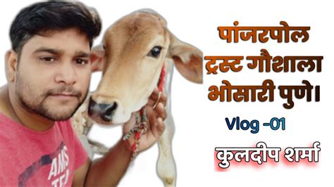 Panjarpol Trust Gaushala in Bhosari Pune! Gaushala Near me! Full Video ...