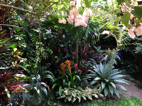 Tropical Garden Tropical Garden Design, Tropical Landscaping ...