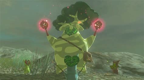 How To Upgrade Your Inventory (Hestu and Korok Seeds) In Zelda Tears of the Kingdom - Triforce Times