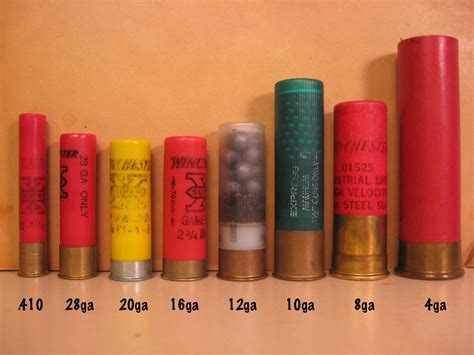 Shotgun shell comparison | Armory Blog