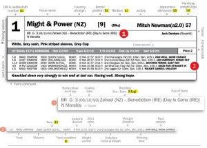 Melbourne Cup Form Guide - 2025