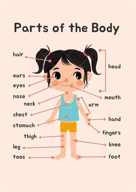 Kids Vocabulary – Parts of the Body | Parts of the Body In English ...