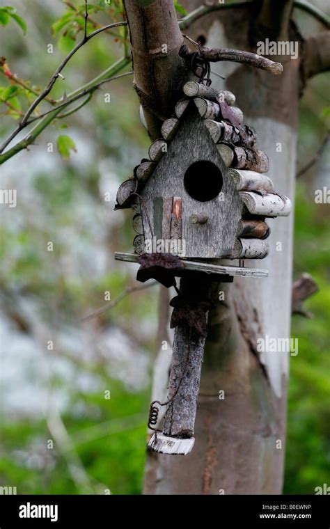 Bird house hanging from tree hi-res stock photography and images - Alamy