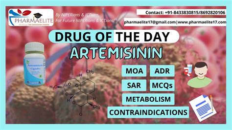 GPAT/NIPER : Drug of the Day: ARTEMISININ || PHARMAELITE || +91 ...