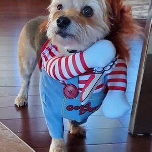 CHUCKY PET COSTUME Funny Pet Costume, Chucky Dog Costume, Pet Cosplay ...