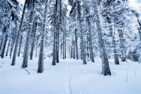 Winter in Bavaria :: Behance