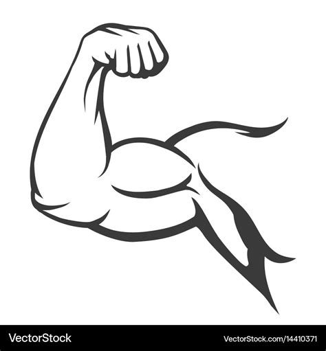 Bodybuilder muscle flex arm Royalty Free Vector Image