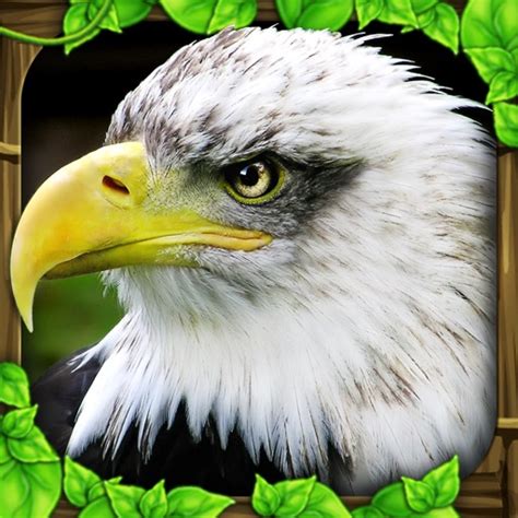 Eagle Simulator by Gluten Free Games