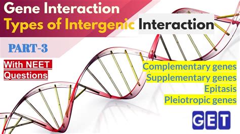 Gene Interaction | Types of Intergenic Interaction | Principles of Inheritance & Variation ...