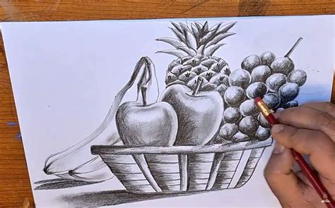 How To Draw A Fruit Bowl: 10 Amazing and Easy Tutorials!