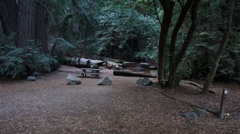 Pfeiffer Beach Camping Reservations - forest camping wallpaper