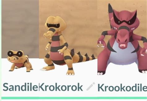 Pokemon Krookodile Evolution