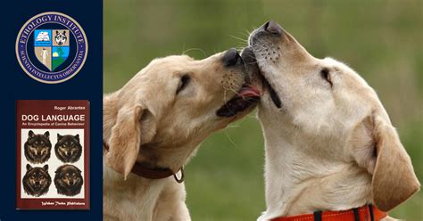 Canine Behavior | Ethology Institute