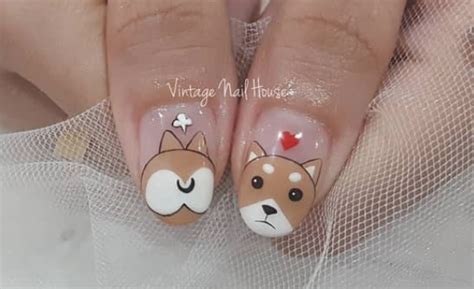 16 Foxy Nail Desingns For Shiba Inu Owners - The Dogman