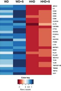 A Western-Type Dietary Pattern Induces an Atherogenic Gene Expression Profile in the Coronary ...