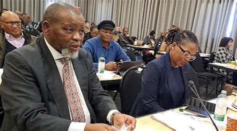 Gwede Mantashe snubs Ramaphosa's green energy signing