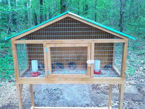 61 best quail stuff images on Pinterest | Chicken coops, Chicken roost ...