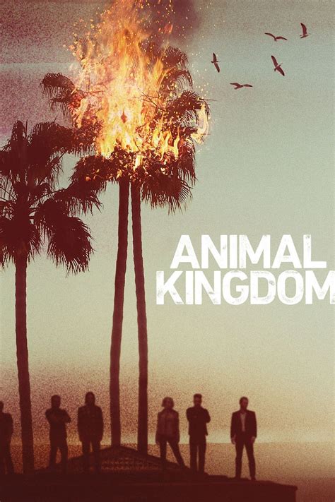 Animal Kingdom - Rotten Tomatoes