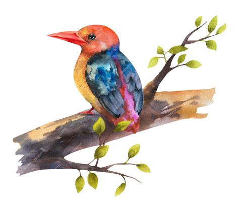 Premium Photo | Watercolor drawing of a bird on a tree branch a ...