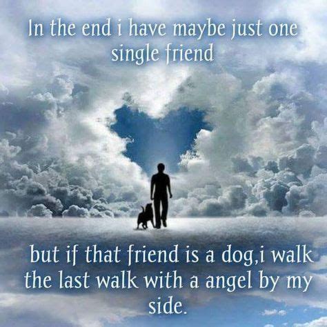 180 Dog heaven quotes ideas | dog quotes, i love dogs, dog love