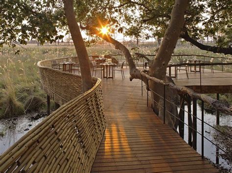 The 20 Best Safari Lodges and Camps in Africa | Luxury safari lodge, Safari lodge, Luxury safari