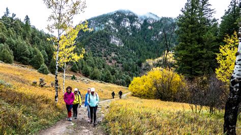 2021 Logan Canyon - Fall colors | Flickr