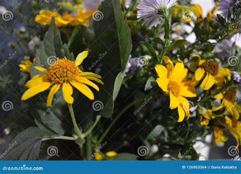 Flower Bouquet of Beautiful Wild Ukrainian Wildflowers Made with a Soul ...