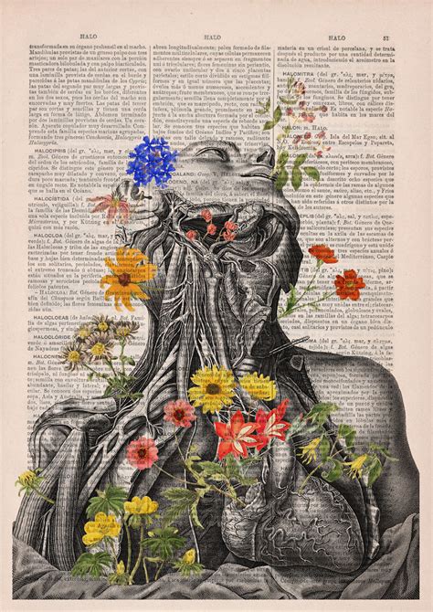 Floral Anatomy Illustrations On The Pages Of Old Books | DeMilked