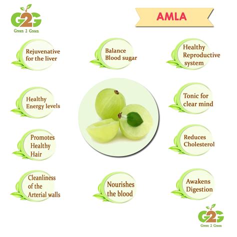 Benefits Of Amla Powder Juice - health benefits