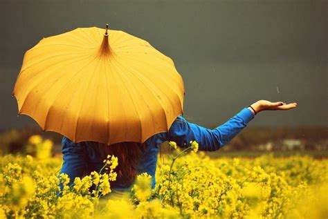 Here comes the rain | Yellow umbrella, Umbrella photography, Umbrella