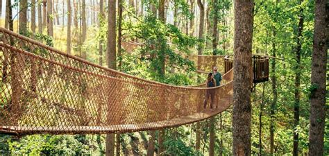 Tennessee's Treetop Skywalk Is A Must See - The Hearty Soul