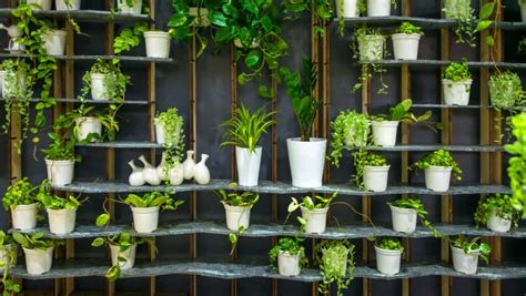 4 Greenhouse Shelving Ideas | Surrey Hills Garden Buildings