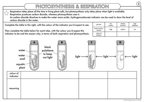 GCSE Biology: Complete Worksheet Pack on the Plant Nutrition (photosynthesis) Topic | Teaching ...