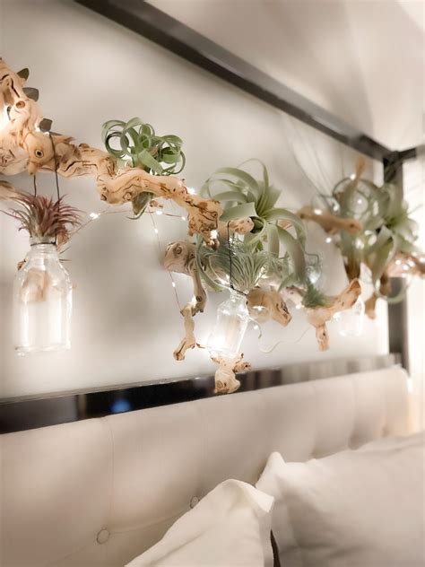 STYLISH & COOL Air Plant Wall Display Ideas DIY - CocoonRaw