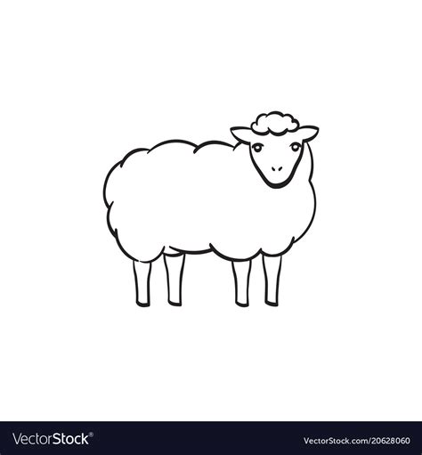 Sheep Sketch Images - img-jam