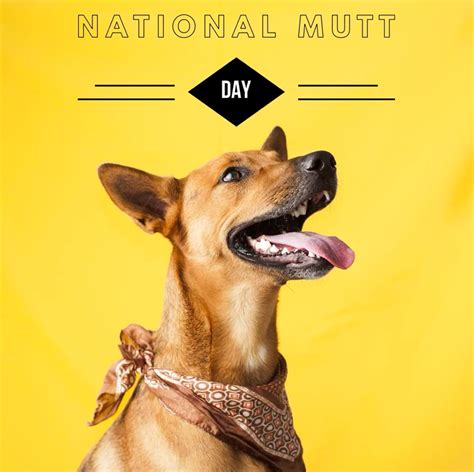 HAPPY NATIONAL MUTT DAY! | PetPlate