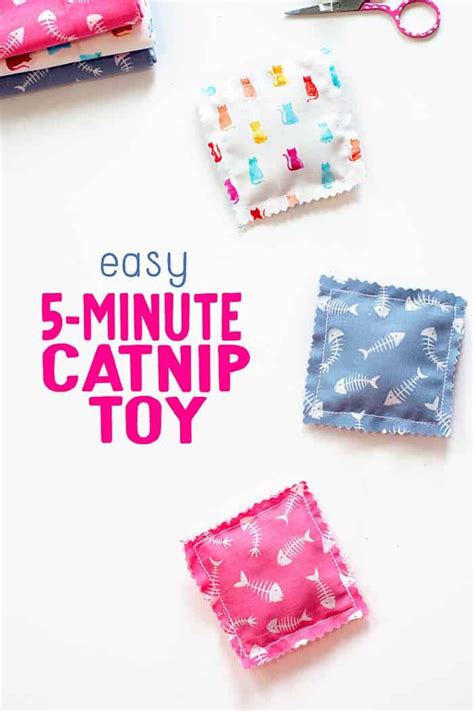 5 Minute Catnip Toy | Catnip toys, Diy cat toys, Sewing tutorials free