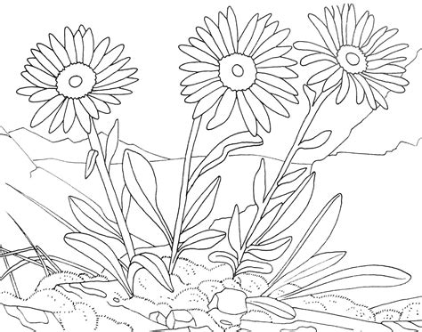 Drawing Flowers #155116 (Nature) – Printable coloring pages