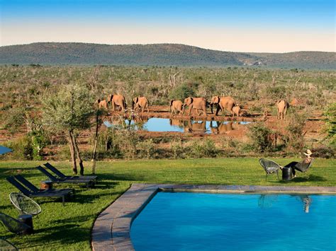 Madikwe Safari Lodge | Secure Your Hotel, Self-Catering, or Bed and Breakfast Booking Now!