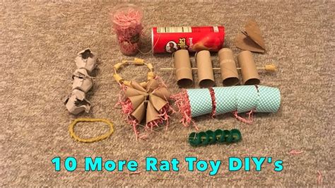 Diy rodent toys – Artofit