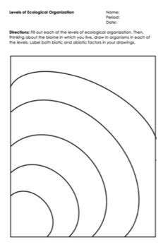 Ecosystem Levels Of Organization Worksheet